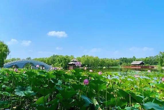 今年武清区有什么大发展,关于天津武清区发展报告