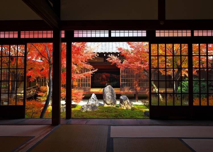 日本轻游记视频,日本轻旅