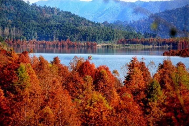 秋天的杭州自驾游,杭州秋冬自驾