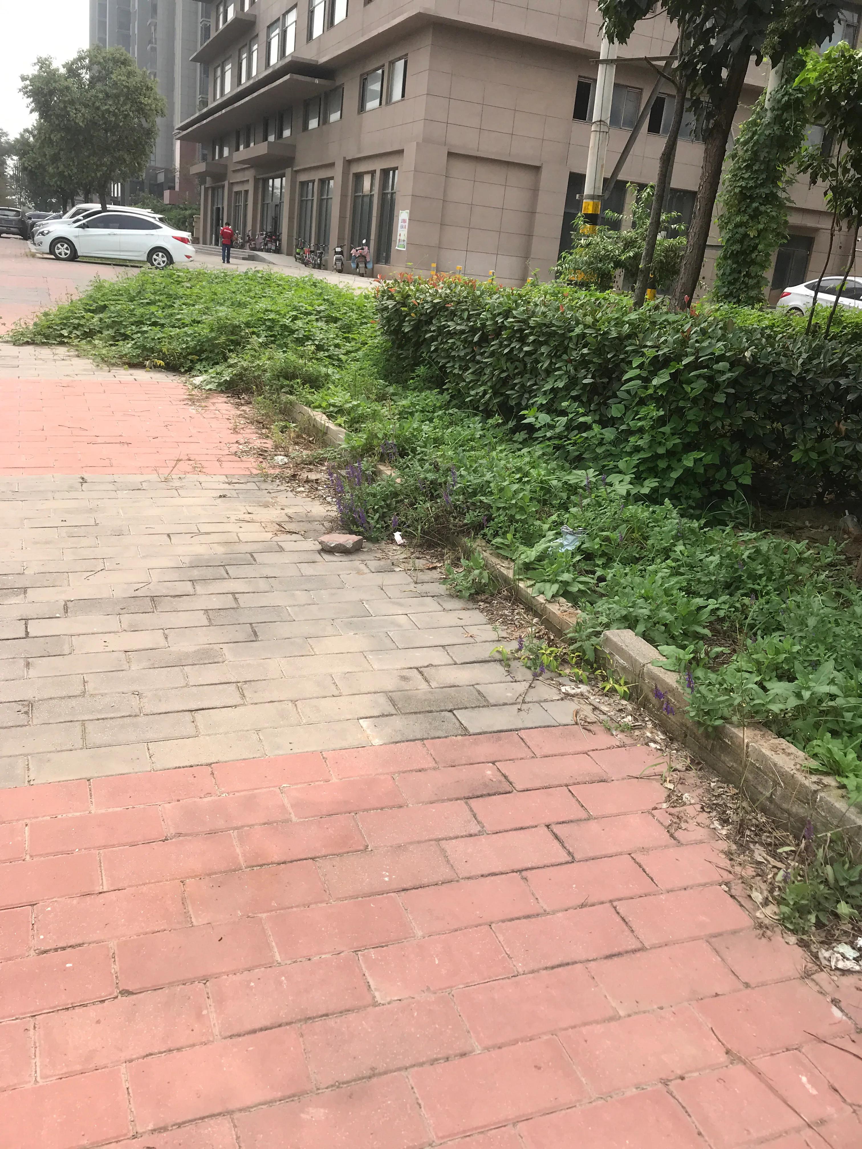 外地人对邯郸的看法,邯郸生活真实感受