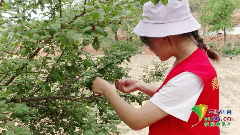 山西三下乡计划,大学生暑期三下乡乡村振兴方案