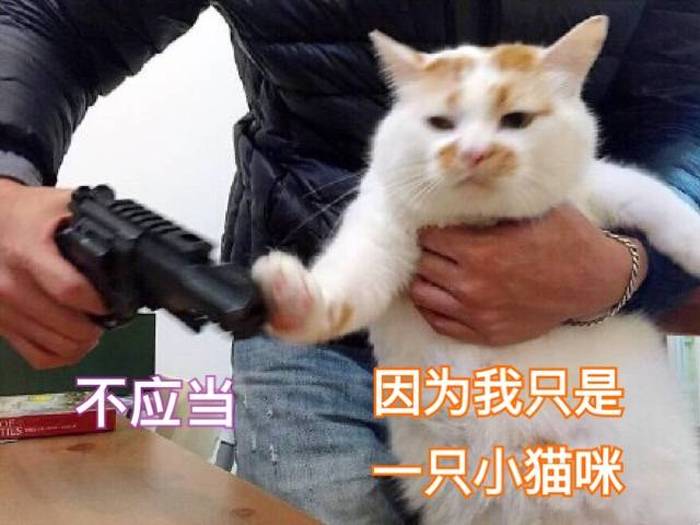 猫咪半夜叫有什么问题不,猫咪半夜叫唤不睡觉