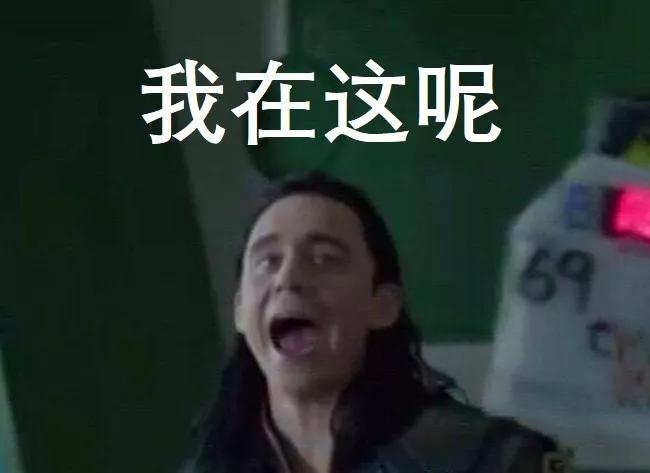 王安石vans,王安石叫文什么