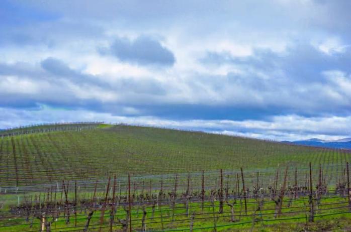 windowsxp的默认壁纸十年的变化,windowsxp壁纸现状