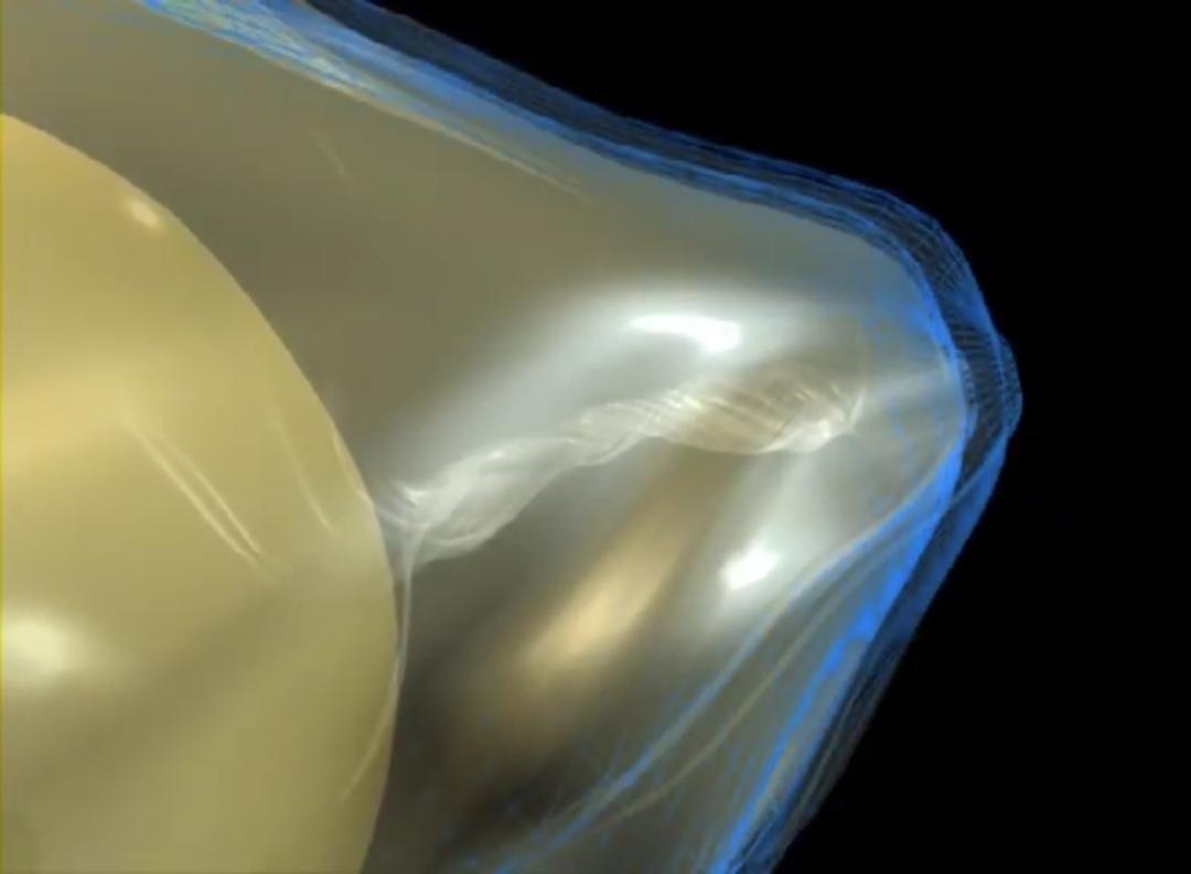 超生动|家禽生殖系统结构和禽蛋形成过程