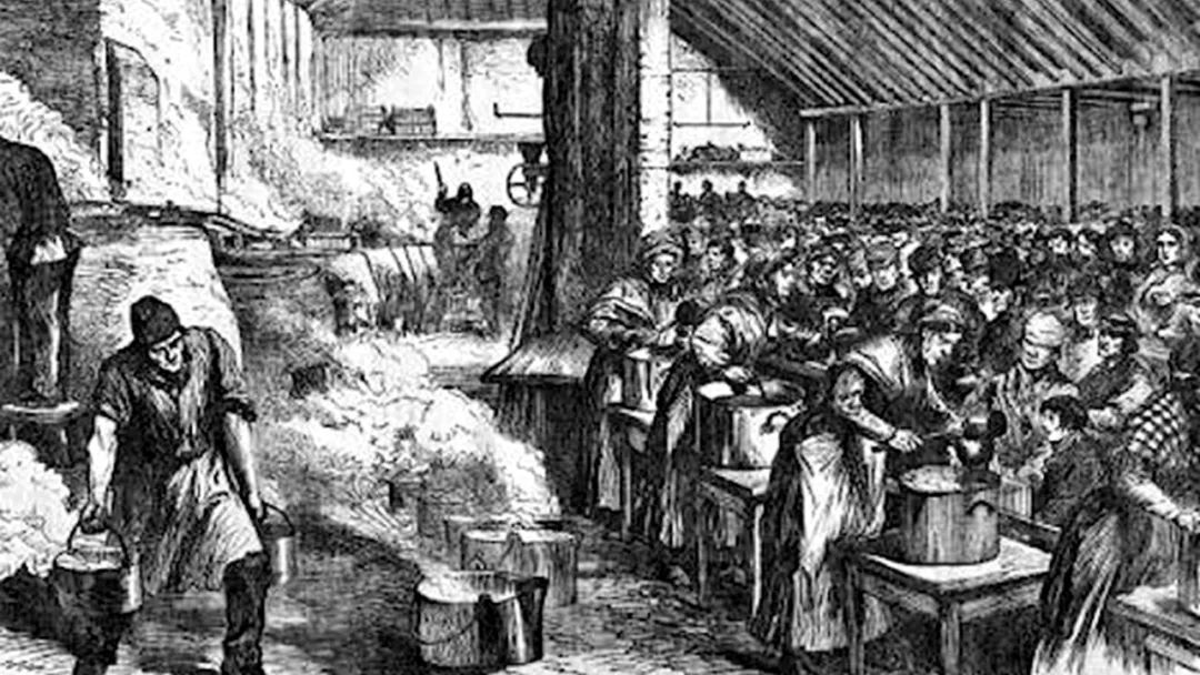 爱尔兰饥荒死亡原因,爱尔兰饥荒死亡多少