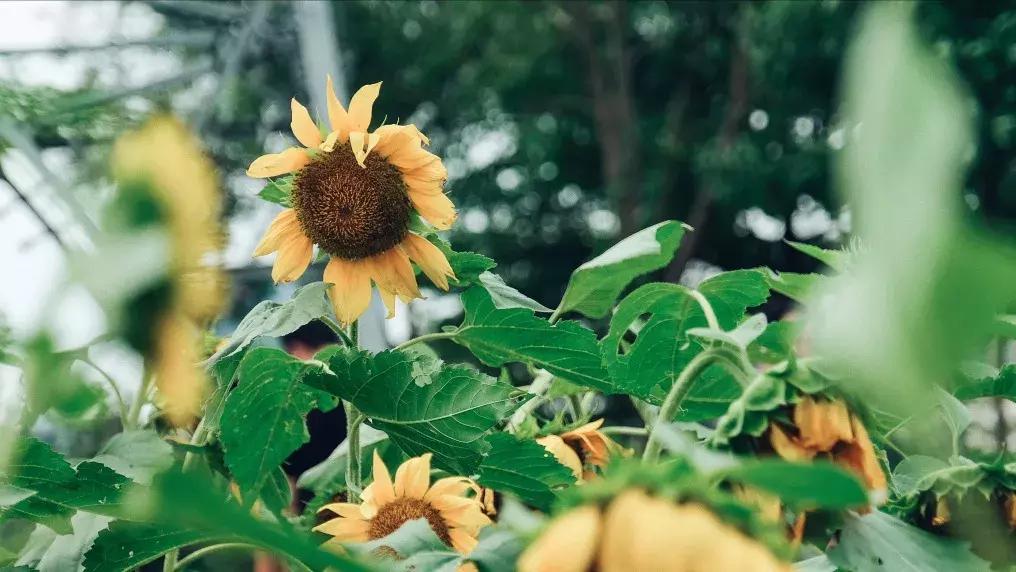 对不起我要去昭通了,对不起我要去西安了