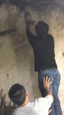 搞笑gif你们这些城里人太会玩了,搞笑gif逗比的世界你永远理解不了