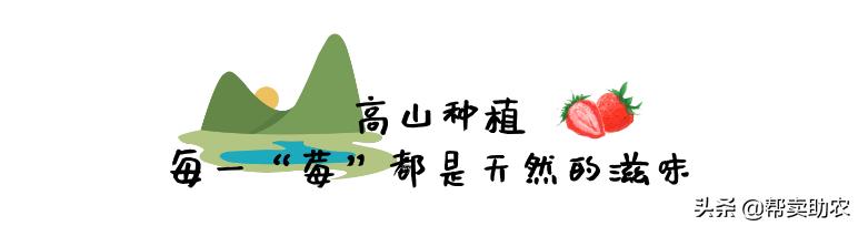 比车厘子还好的水果,比车厘子小的水果