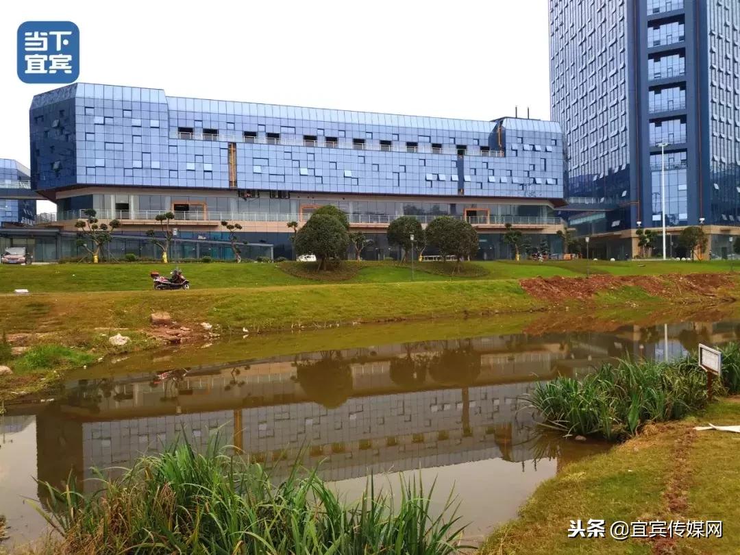 宜宾临港新增公园,宜宾白沙湖最新规划