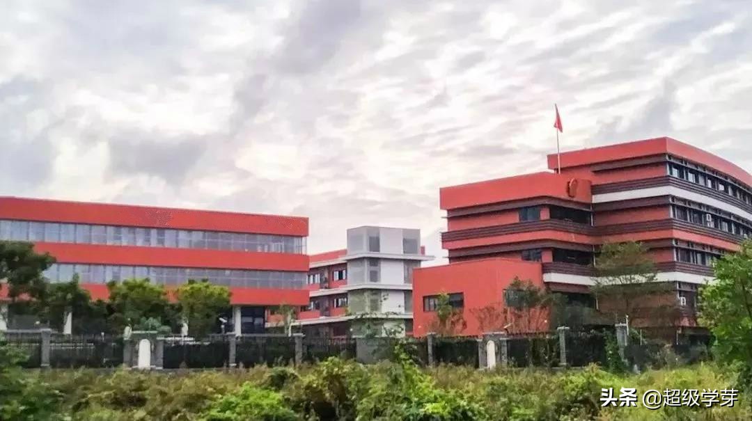 搞大事情!天府新区彻底向“四七九”说拜拜!成立三大教育集团