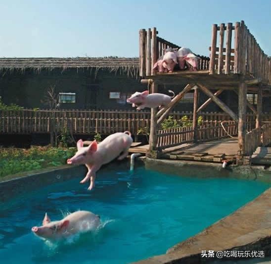 深圳观澜山水田园游,深圳观澜湖山水田园旅游文化园