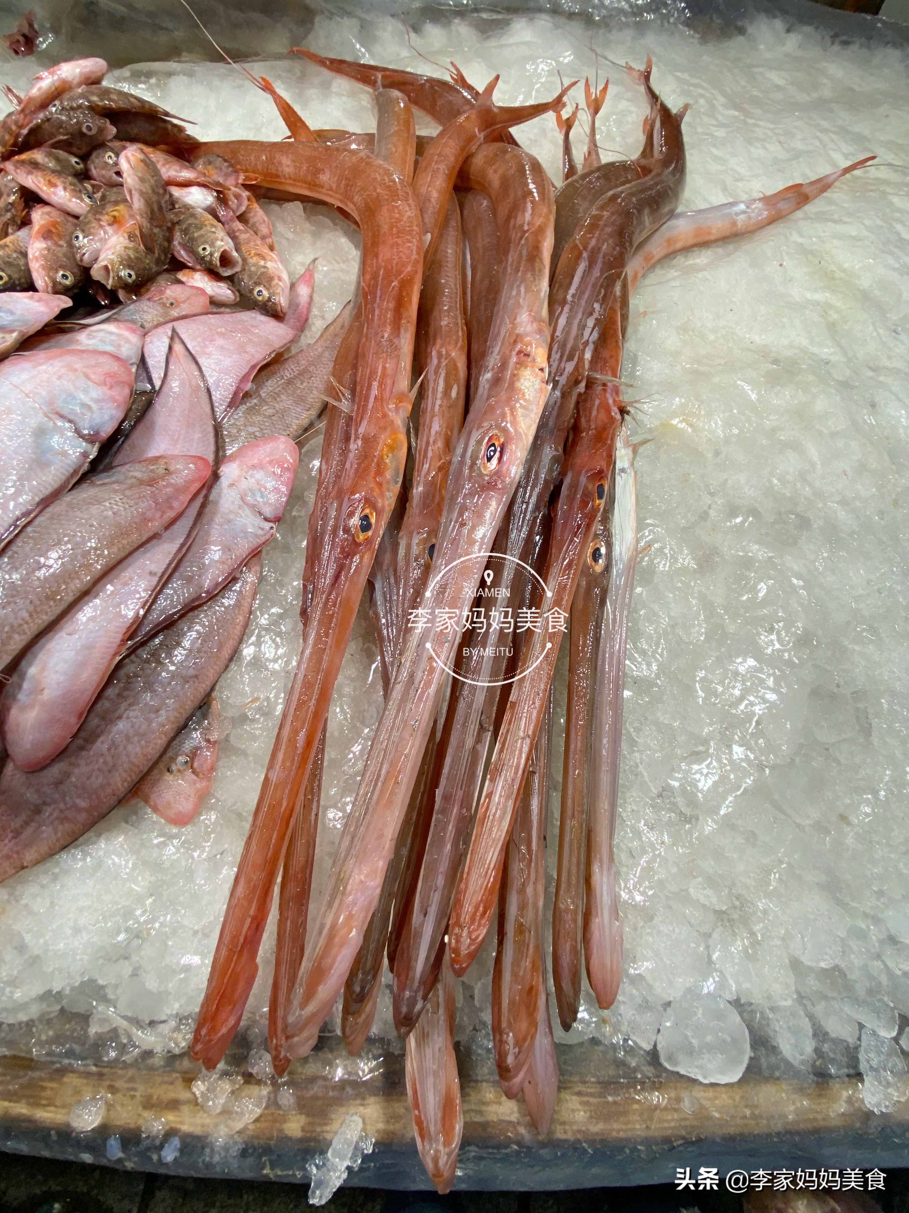 冬季海鲜推荐平价海鲜,便宜又好吃的冷门海鲜