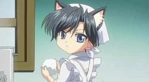 看了二十遍的腐影，这才叫真正的傲娇受与忠犬攻吧