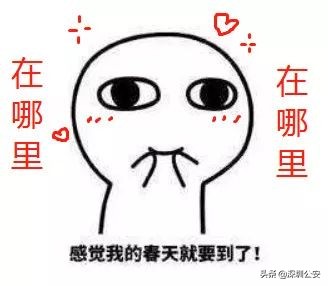 广东举报制假售假最新政策,为什么打假售假力度这么大