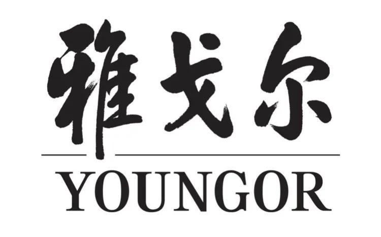 男士西装马甲品牌排行,高档品牌男士休闲西装