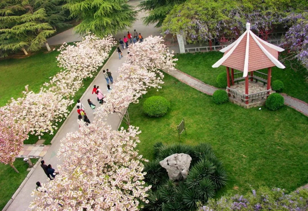 河南理工大学110周年直播,河南大学110周年生日快乐