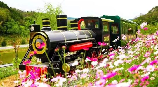 博山区年审,博山年审