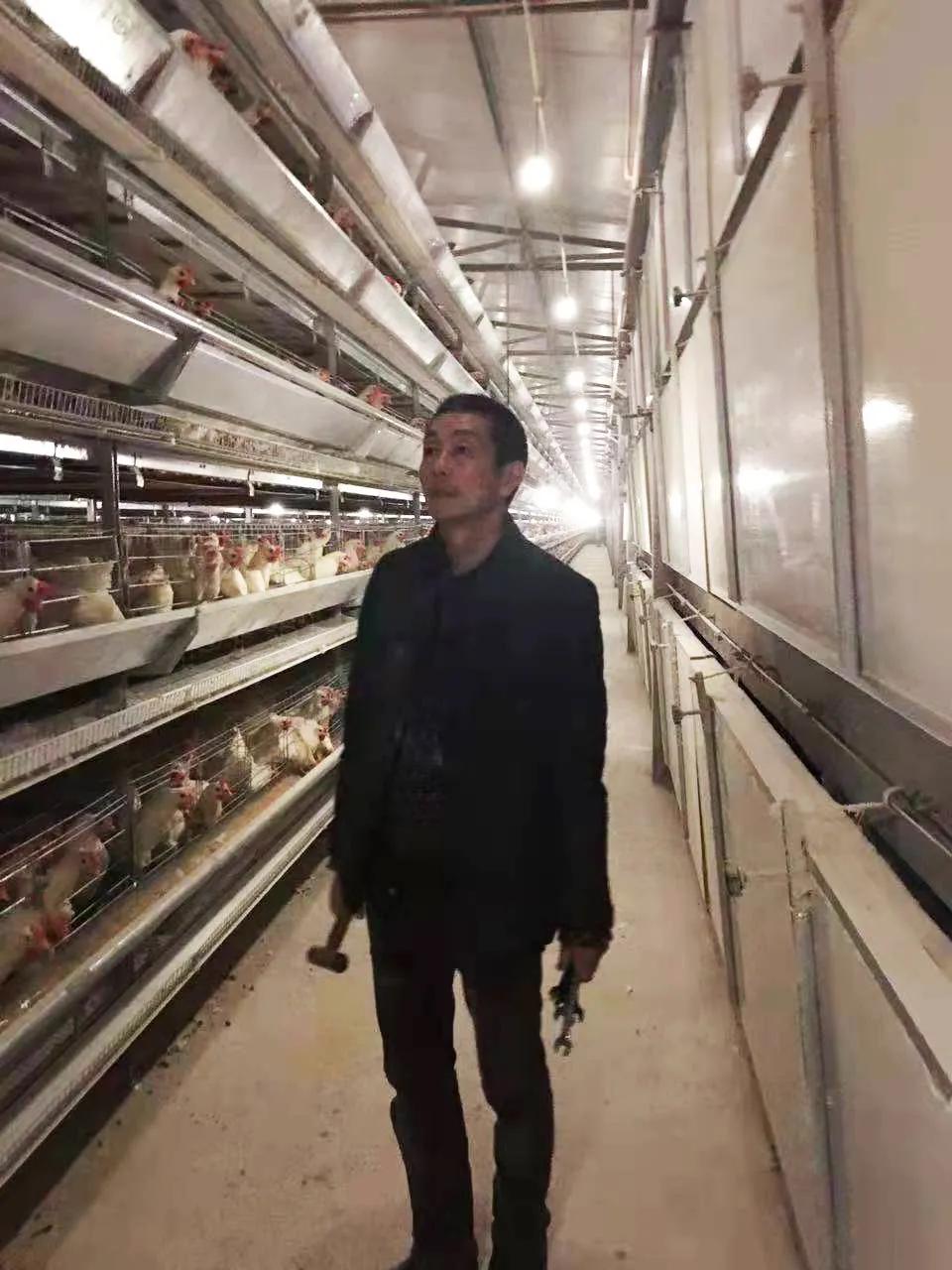 蛋鸡行业的发展方向,蛋鸡行业的未来发展方向