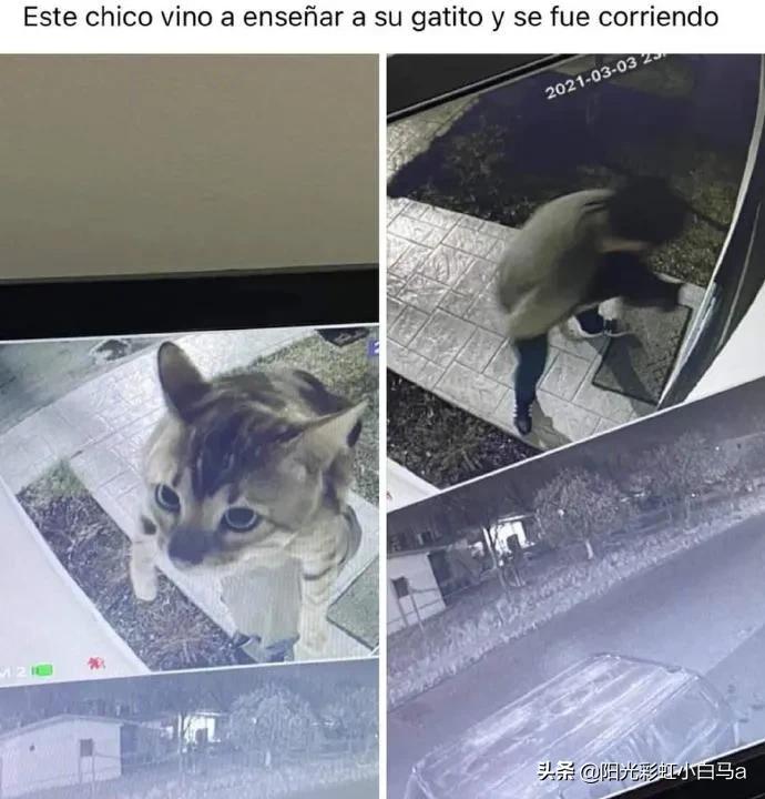 自从买了条Gucci的皮带后，现在连穿羽绒服都塞在裤子里