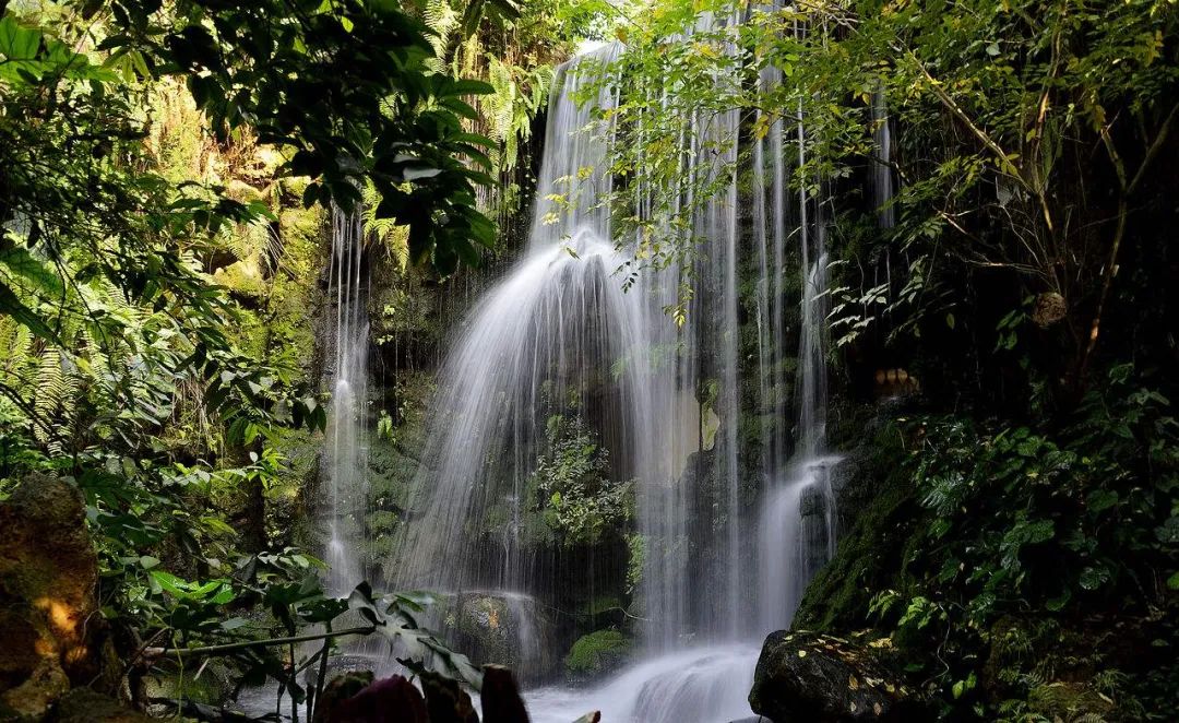 300+万㎡原始森林秘境，天河就有