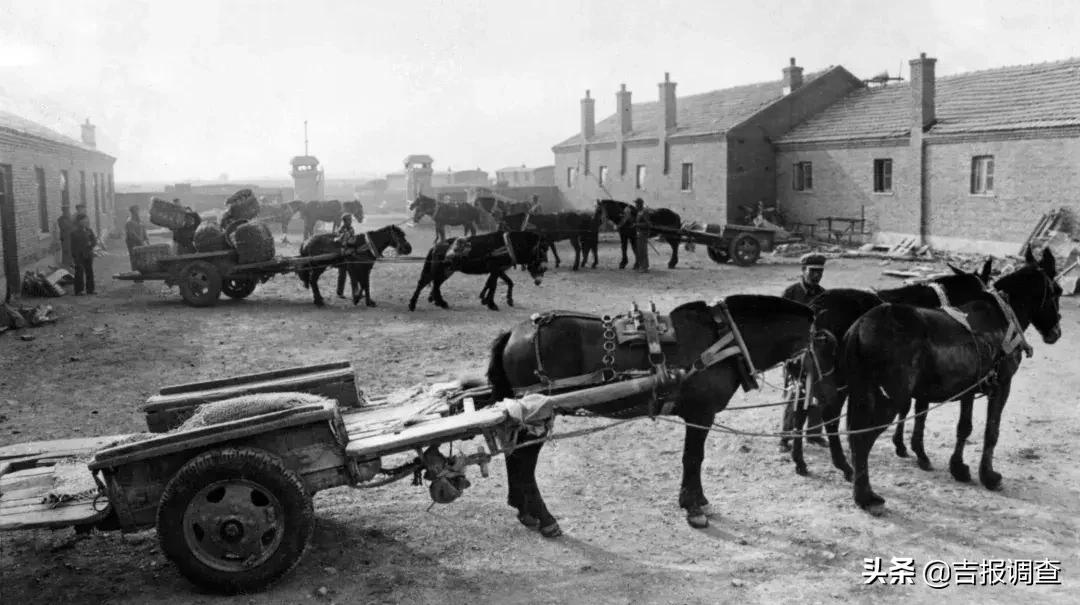 改革的先驱者,改革开放的亲历者更是受益者