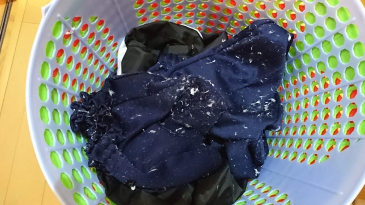 衣服跟卫生纸一起洗了发白怎么办,衣服粘纸巾如何二次清洗干净