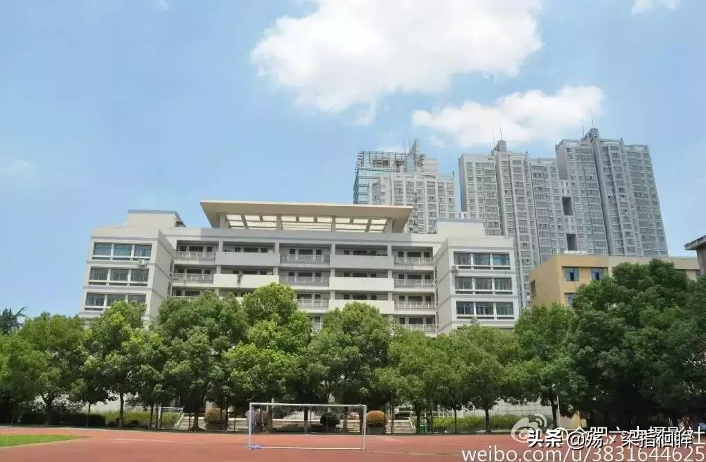 合肥十佳学校,合肥小学贵族学校排名