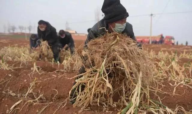 疫情面前，如果你熬不下去了，请看看他们…