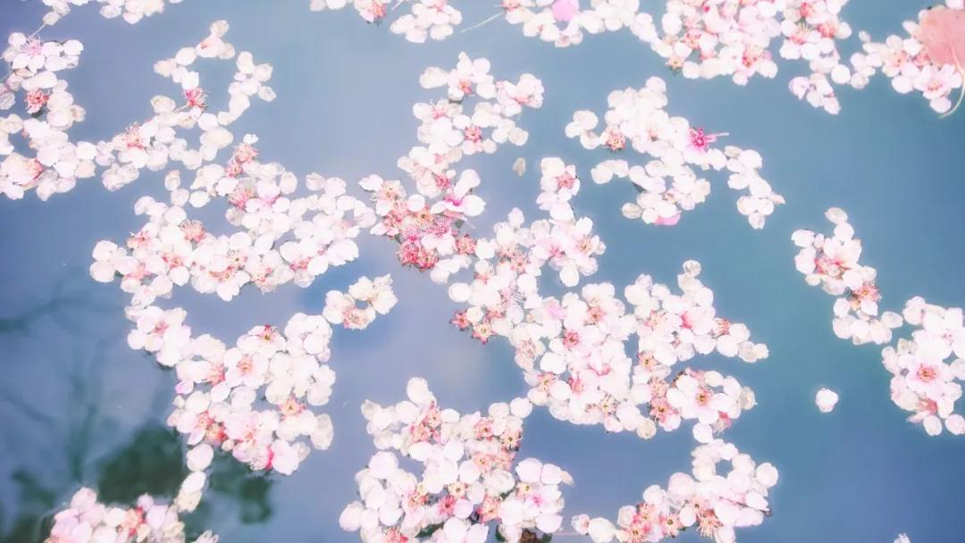 你出生的月份就能对应出一首诗,你几号出生就决定了你是不是学霸