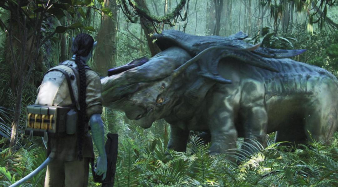 阿凡达最新彩蛋,阿凡达你不知道的隐藏细节