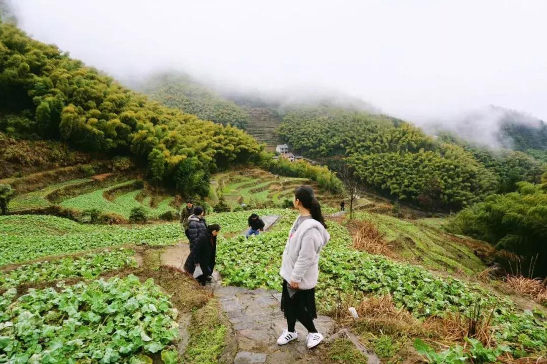 399元无边泳池,无边泳池抖音优惠团购