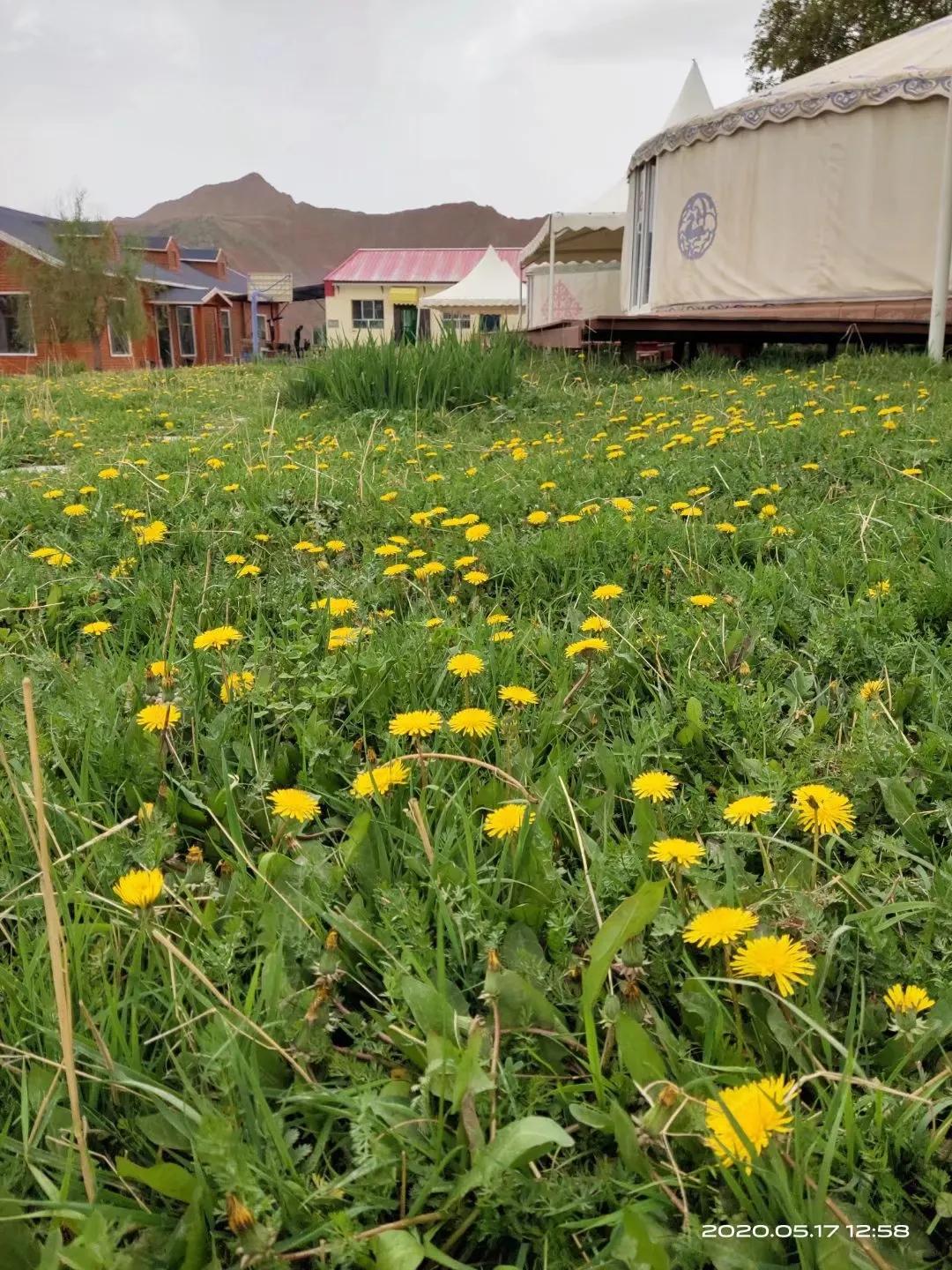 我眼中的历史完整视频,我眼中的历史是什么