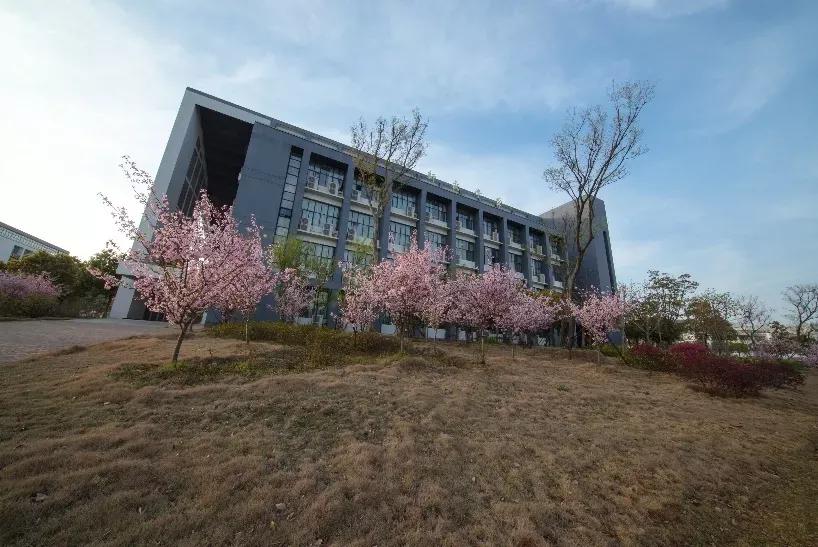 安徽省高校合肥理工,安徽省二类本科公办大学