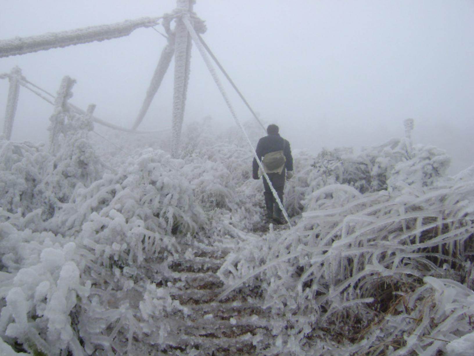 拉尼娜现象意味着今年冬天冷吗,冷冬预警