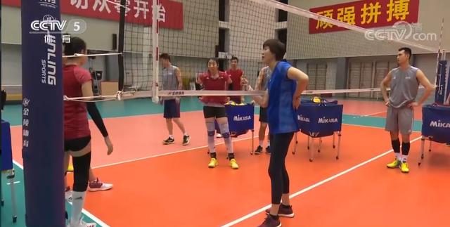 朱婷纹身后续,朱婷纹身事件