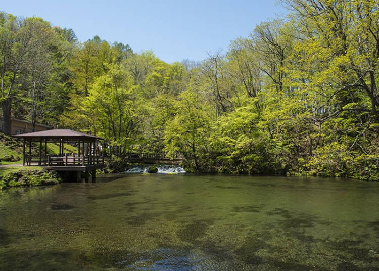 探访北海道的美妙大自然！新雪谷·羊蹄山区域的必访绝美景点