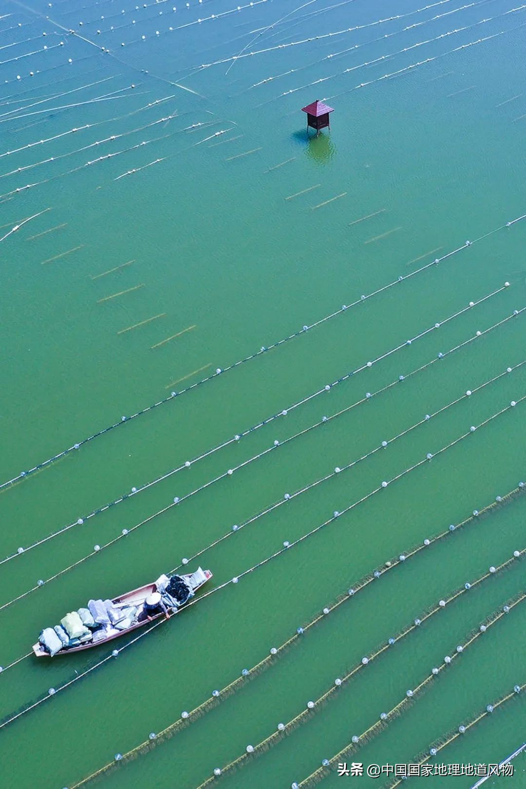 浙江诸暨几线城市,诸暨属于浙江哪个城市