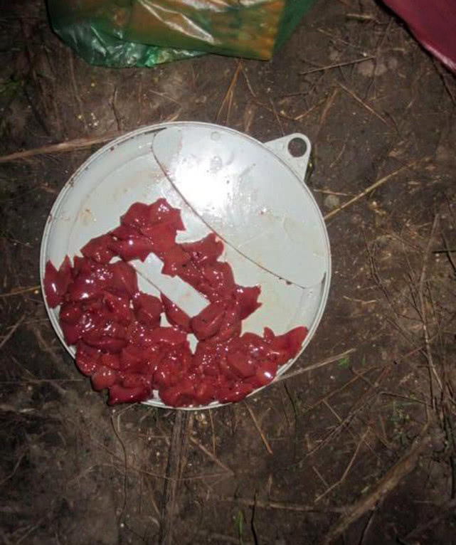 钓鲶鱼用什么饵最好呢,冬季钓鲶鱼的方法和技巧