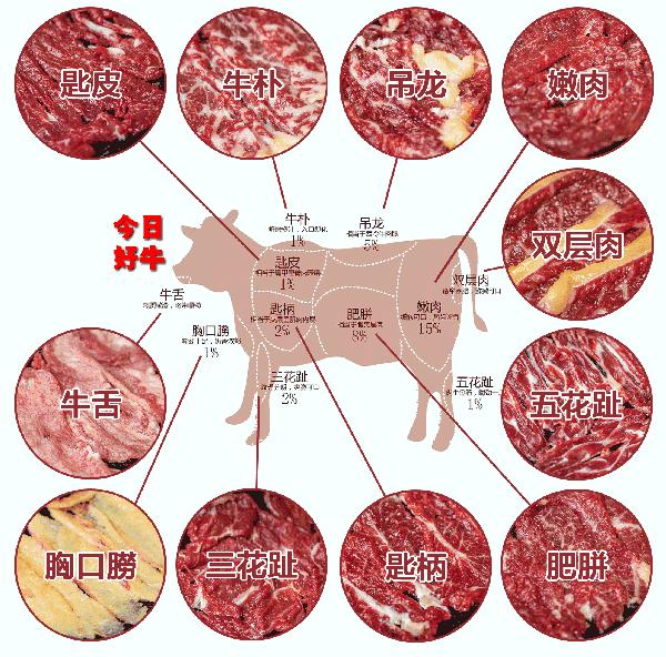 牛牛真的有多牛,中国人吃的牛肉是什么牛