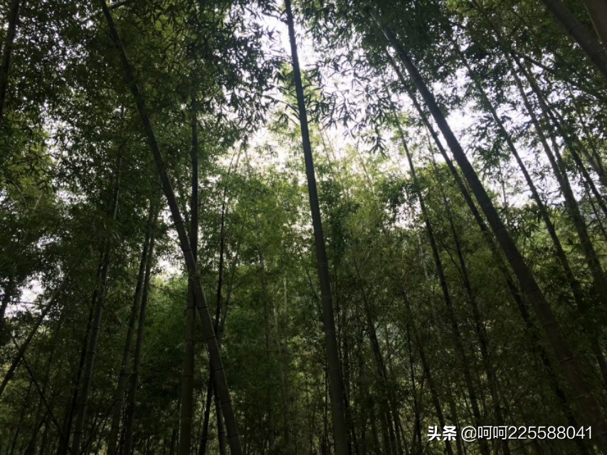 假日山村游玩,假日凤凰山旅游攻略