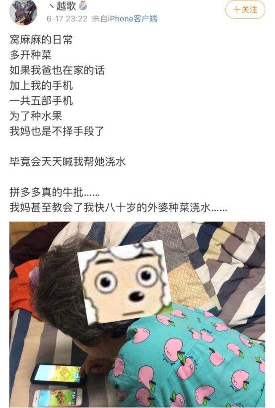 网友爸妈在拼多多的神操作绝了，三代同堂齐上阵，代沟都被化解了