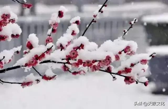 我决定我不再庸人自扰了经典语录,我决定不再前行的歌词