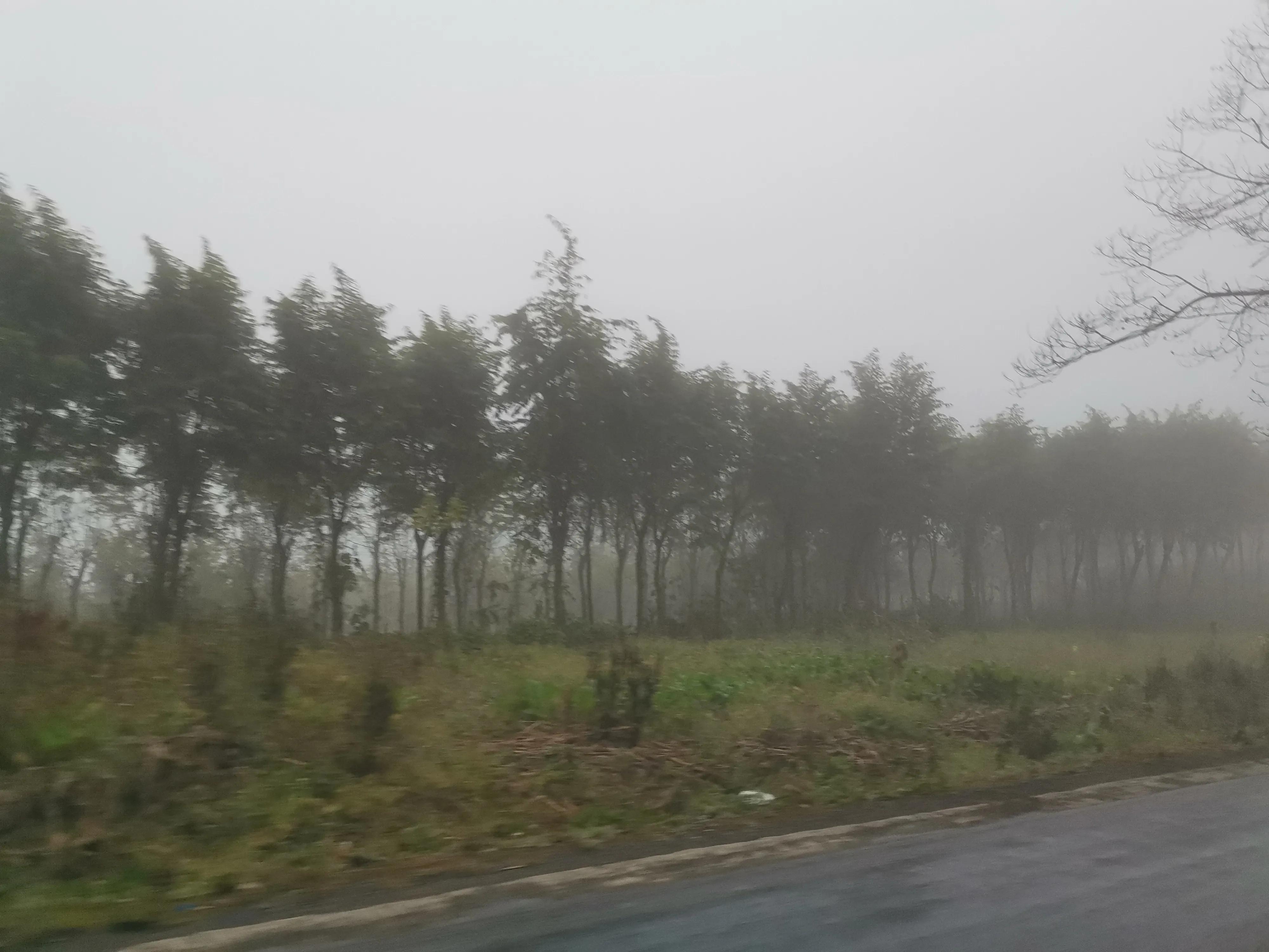 文山马鹿塘水库钓罗非鱼怎么样,文山马鹿塘水库野钓多少公里