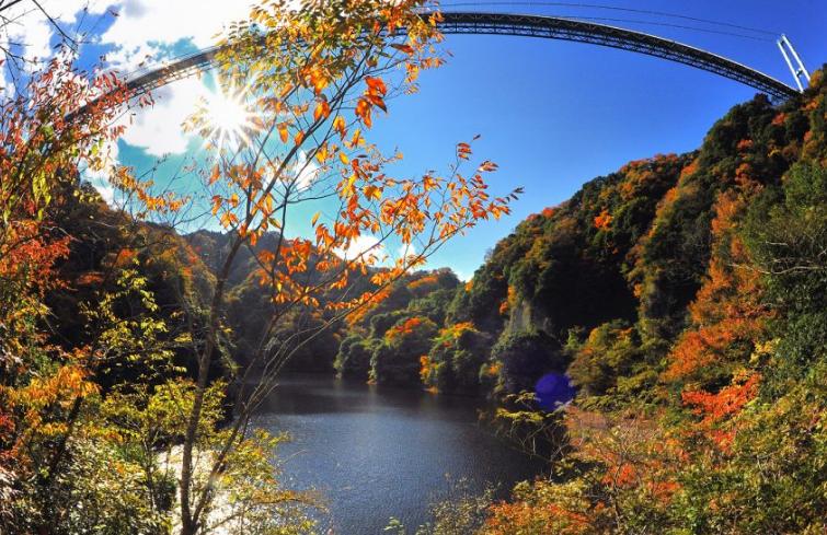 日本茨城观光之旅视频,从东京可以一日游去日本茨城玩