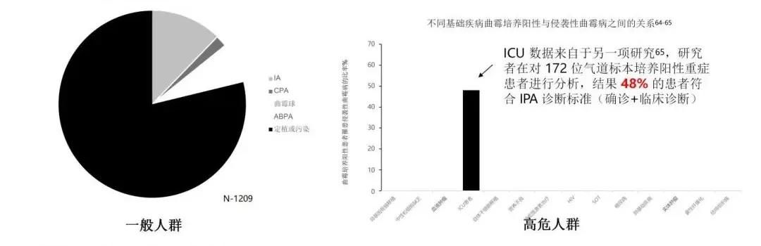 真菌培养及鉴定是阳性严重吗,怎么鉴别肺部真菌感染