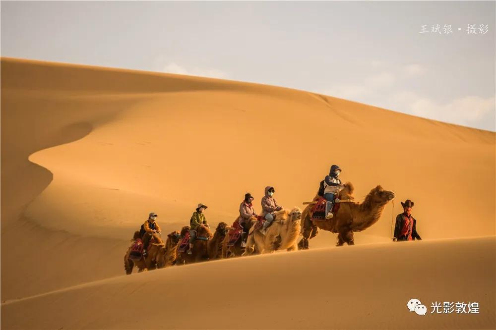 【敦煌新鲜事】月牙泉驼户穿胡服”牵骆驼服务游客