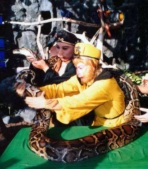 1986版西游记背后的照片,西游记部分图片大全