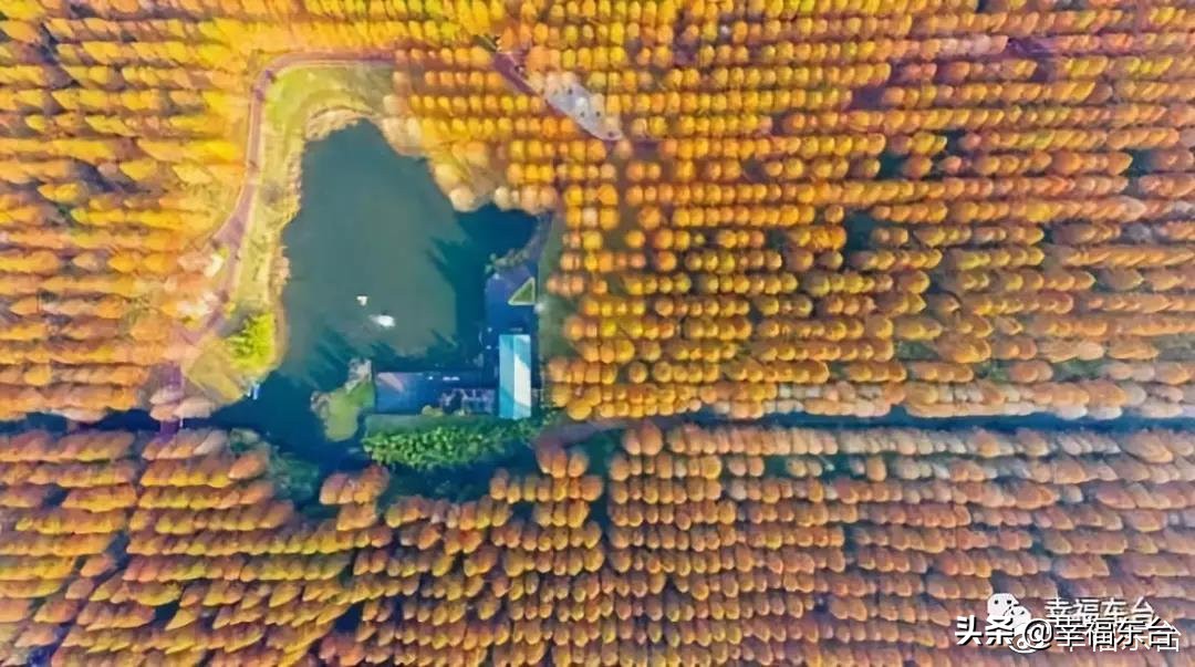 苏州东台,东台姻缘