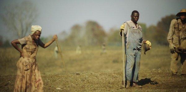 文青喜欢看的书,文青爱听的音乐